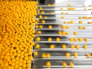 pills on a conveyor belt